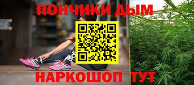 mdpv Заводоуковск