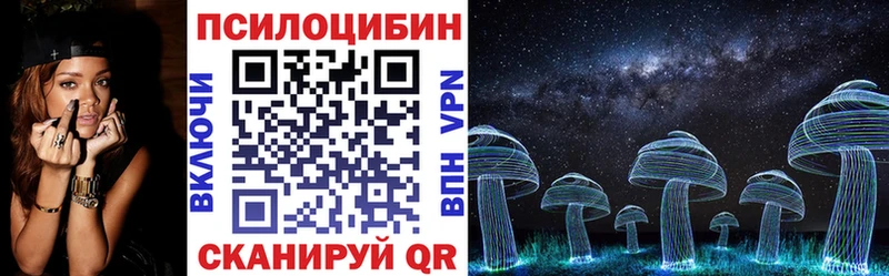 Галлюциногенные грибы Psilocybe  продажа наркотиков  Лесозаводск 