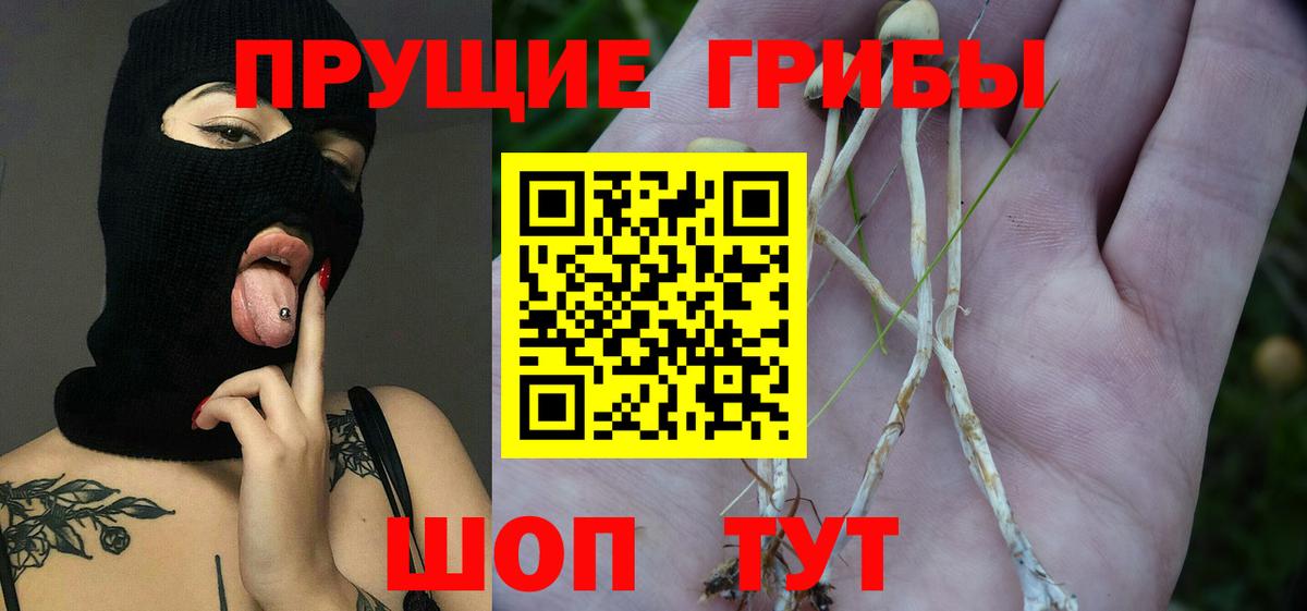 Псилоцибиновые грибы мицелий  Лесозаводск 