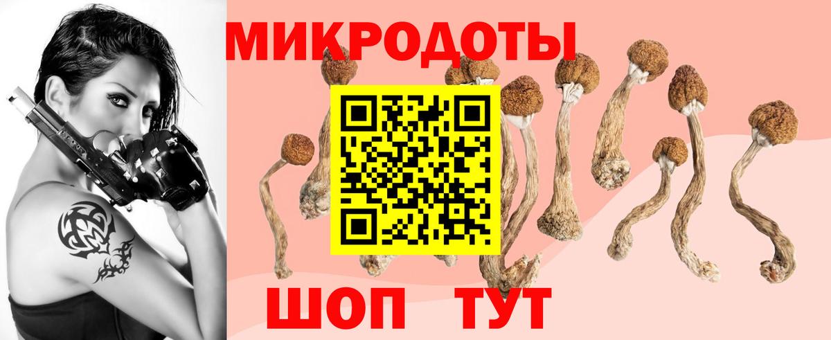 Лесозаводск  Псилоцибиновые грибы Psilocybe  Вход с VPN 
